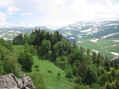 Плато Лаго-Наки. Фото с сайта www.yuga.ru