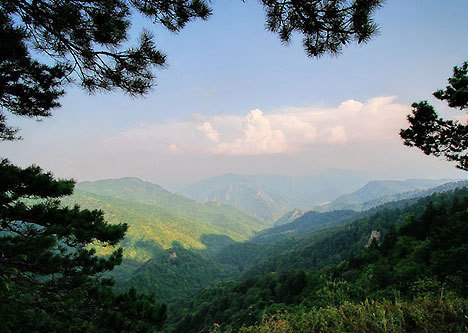 Горная Адыгея. Фото с сайта otdih.nakubani.ru