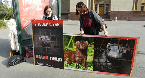 Участники пикета в Волгограде. Фото Татьяны Филимновой для "Кавказского узла"