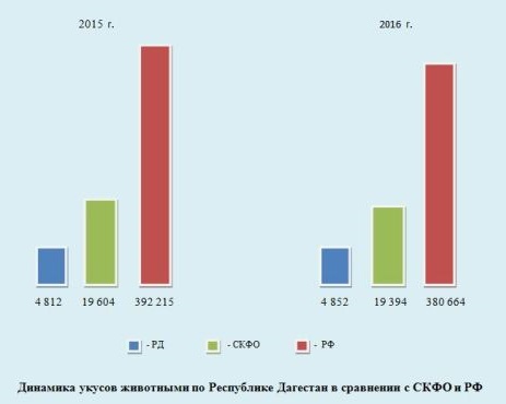 Согласно данным Роспотребнадзора, в Дагестане в 2016 году увеличилось число пострадавших от укусов животных, тогда как в целом по СКФО и России - снизилось. Фото: таблица с сайта управления Роспотребнадзора по Дагестану