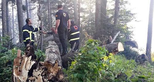 Пожарные тушат огонь в Национальном парке Грузии Фото https://www.facebook.com/163336040510811/photos/ms.c.eJw9ysEJACAMA8CNpKZNSfZfTCri8~_CEIpG9g1R6aWxHpVRbz~_pr4Ht~_yAed5Az0.bps.a.824552324389176.1073742904.163336040510811/824559861055089/?type=3&theater