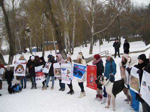 Пикет в защиту бездомных животных в Ростове-на-Дону. 24 февраля 2018 года. Фото Константина Волгина для "Кавказского узла"